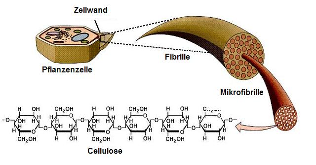 Cellulose.jpg