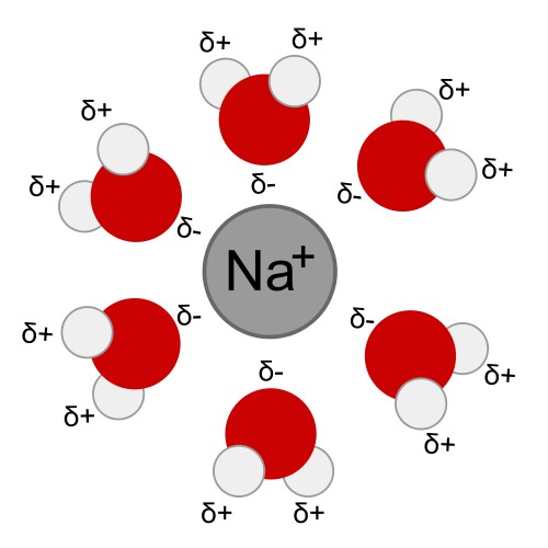 500px-Na+H2O.svg.png