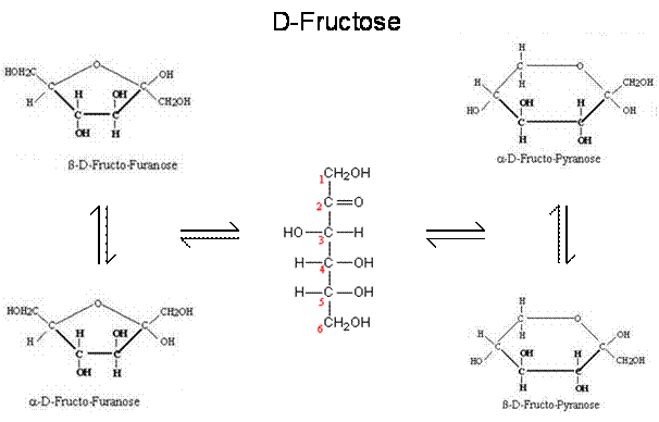 D-Fructose pyranose furanose kettenform.gif