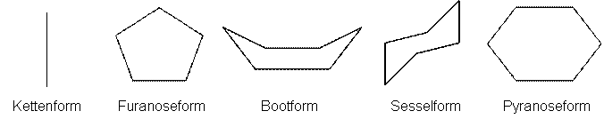 Strukturformeln der Monosaccharide.gif