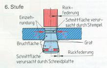 Trennen 21.6.JPG