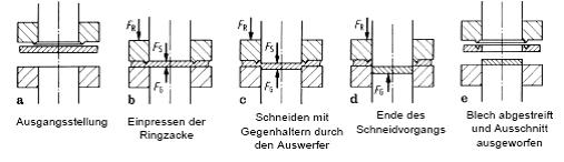 Trennen 32.JPG