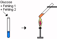 Versuch fehling.jpg