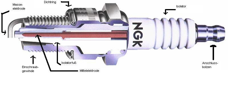 Zuendkerze gross ngk.jpg