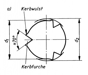 Kerbwulst.jpg