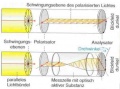 Vorschaubild der Version vom 3. Januar 2007, 14:24 Uhr