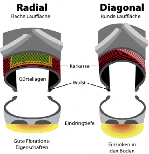 Datei:Radial.png