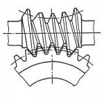 Zahnräder Globoidschneckengetriebe.jpg
